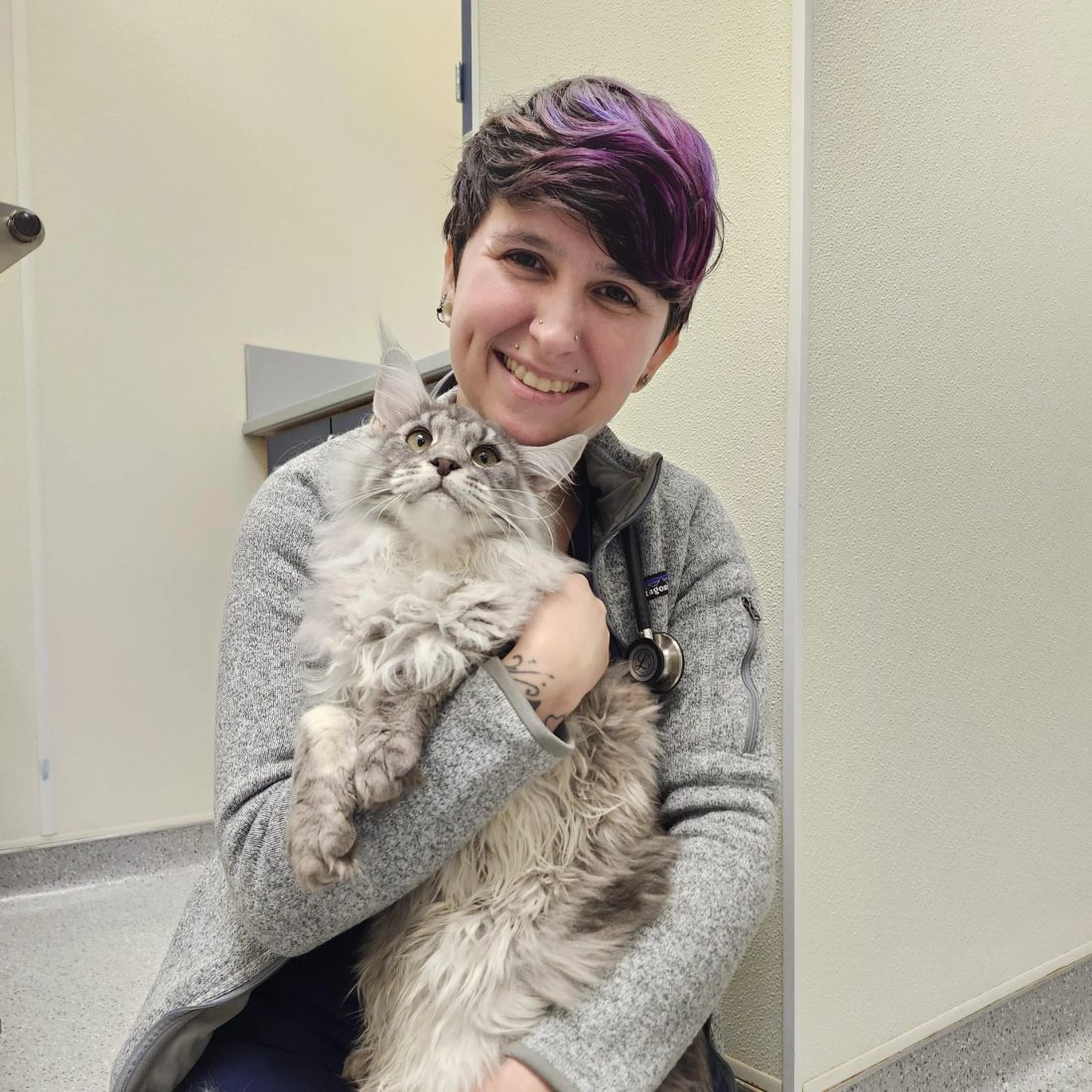 Smiling staff member with purple hair holding a fluffy cat at clinic