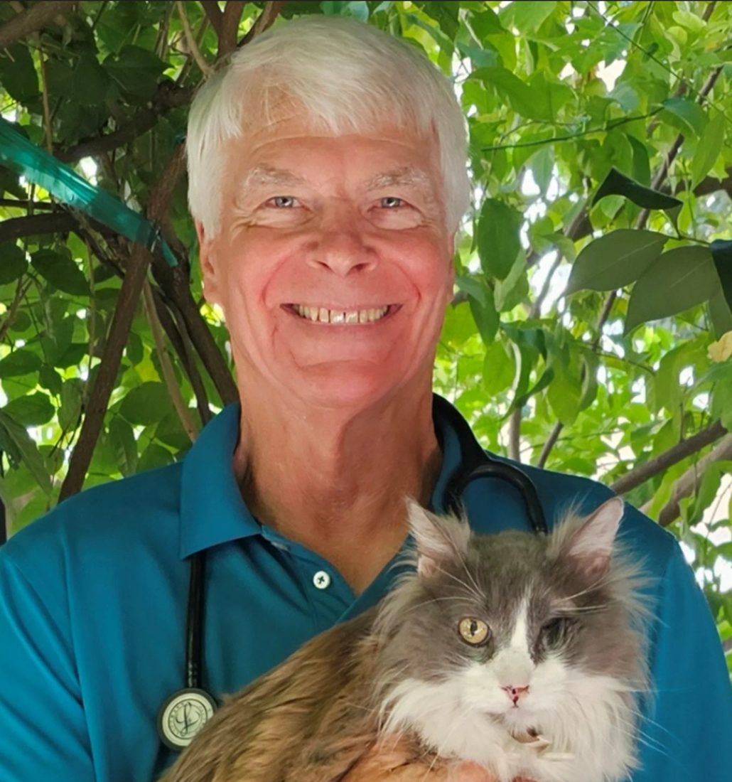 Smiling veterinarian holding a fluffy cat outdoors among green leaves